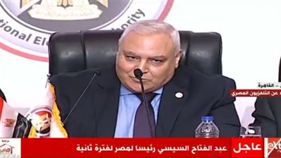 لاشين إبراهيم: الوطن يعيش لحظات فارقة من عمره