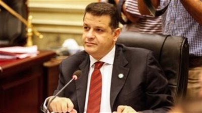 تقارير المنظمات الدولية تؤكد شفافية انتخابات الرئاسة المصرية 2018