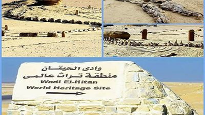 تعرف علي 