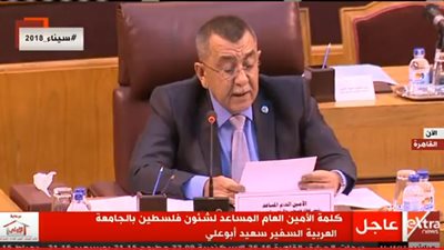 فيديو| بث مباشر.. مؤتمر الجامعة العربية لبحث القضية الفلسطينية