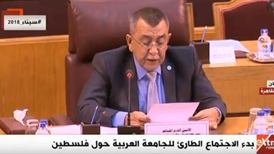 الأمين العام المساعد لشئون فلسطين: يجب إنهاء الاحتلال وإقامة الدولة الفلسطينية