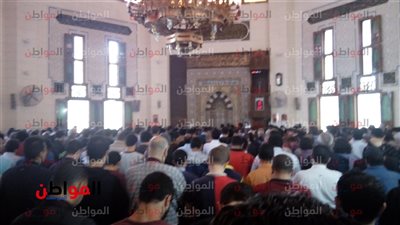 فيديو| 