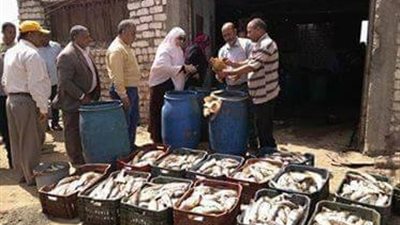 ضبط مصنع لصناعة المنتجات المملحة 