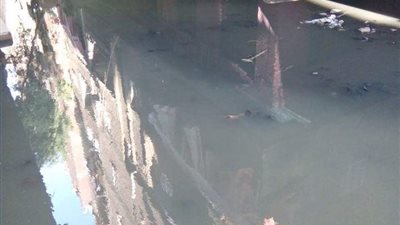 صور| عزبة النخل تغرق في مياه الصرف الصحي.. والأهالي تستغيث برئيس الحي