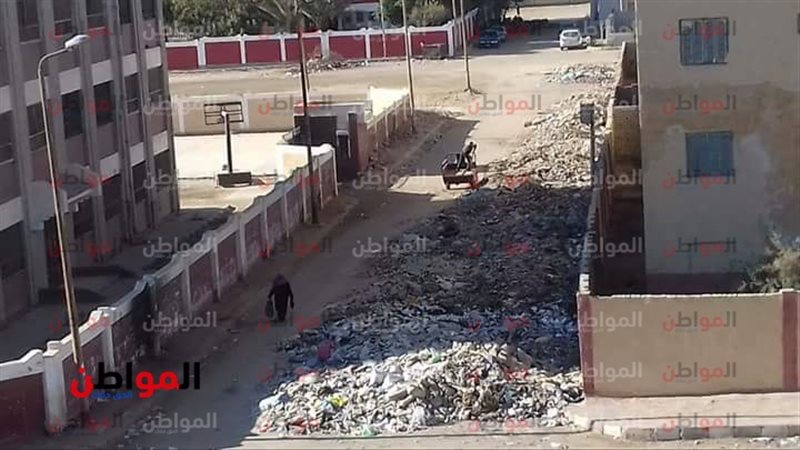 حملات إزالة بالسويس