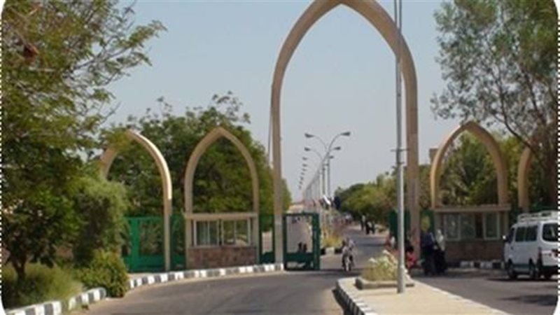 جامعة أسوان