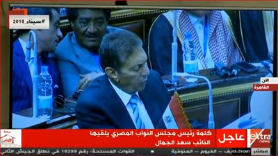 سعد الجمال: القضية الفلسطينية لازالت هي موطن الألم في الجسد العربي