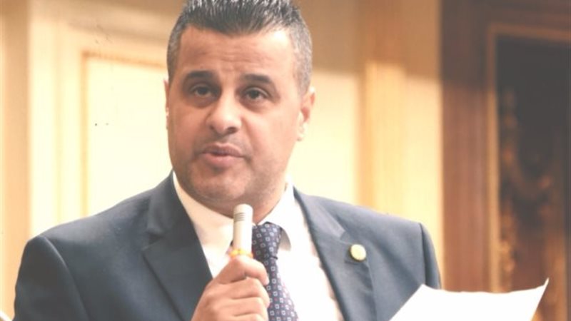 النائب عاصم عبد العزيز