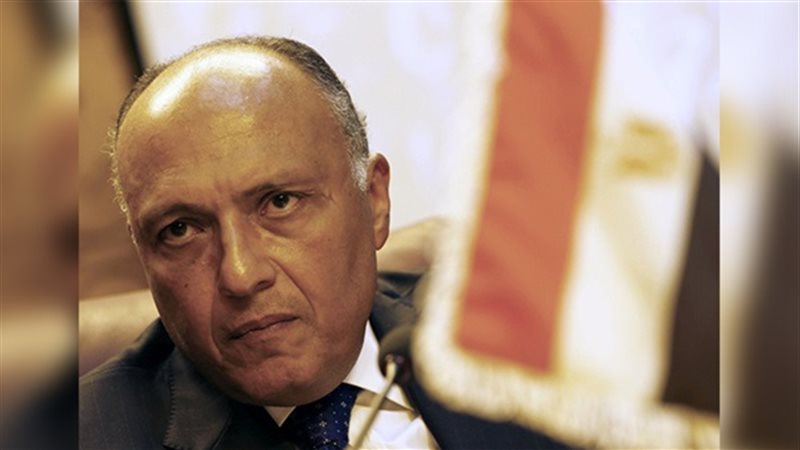 سامح شكرى وزير الخارجية