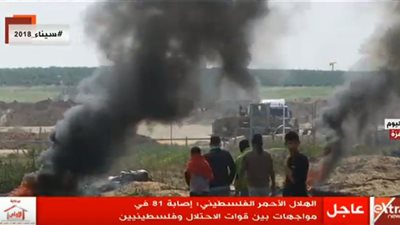 عاجل| الهلال الأحمر: إصابة 81 فلسطيني في المواجهات بين قوات الاحتلال