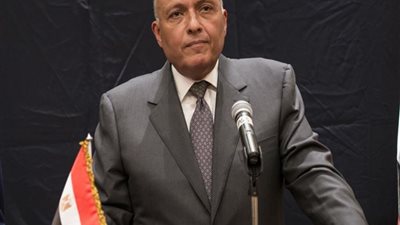 وزير الخارجية يجتمع بالسكرتير التنفيذي لاتفاقية الأمم المتحدة لتعزيز التعاون المشترك