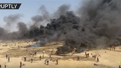 فيديو| الخارجية المصرية تدين استخدام الاحتلال القوة ضد الفلسطينيين