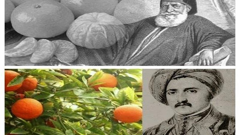 قصة اليوسفي 