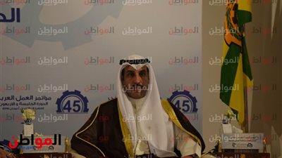 فيديو| مدير منظمة العمل العربي: ما يحدث في فلسطين إرهاب غاشم