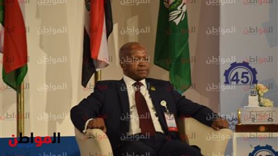 فيديو| وزير العمل الليبي: أهنئ الشعب المصري على تجديد الثقة بالرئيس السيسي