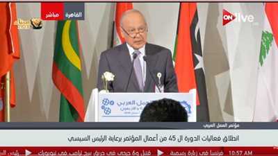 فيديو | أبو الغيط: نسعى للحشد والتنسيق بين العرب لتحقيق التنمية المستدامة 2030