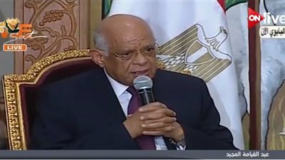 فيديو| علي عبد العال: مصر تسير بخطى ثابتة نحو ترسيخ المواطنة