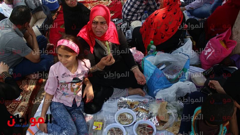 صور الفسيخ والرنجة