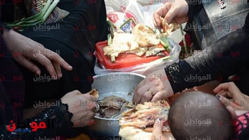 فسيخ ورنجة وبصل أخضر