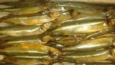 فيديو| صحة سوهاج: لم نستقبل أي حالات تسمم بسبب