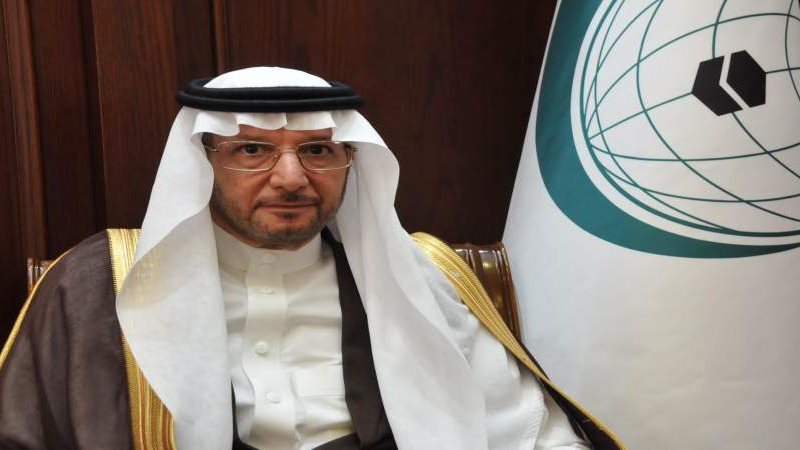 الدكتور يوسف العثيمين