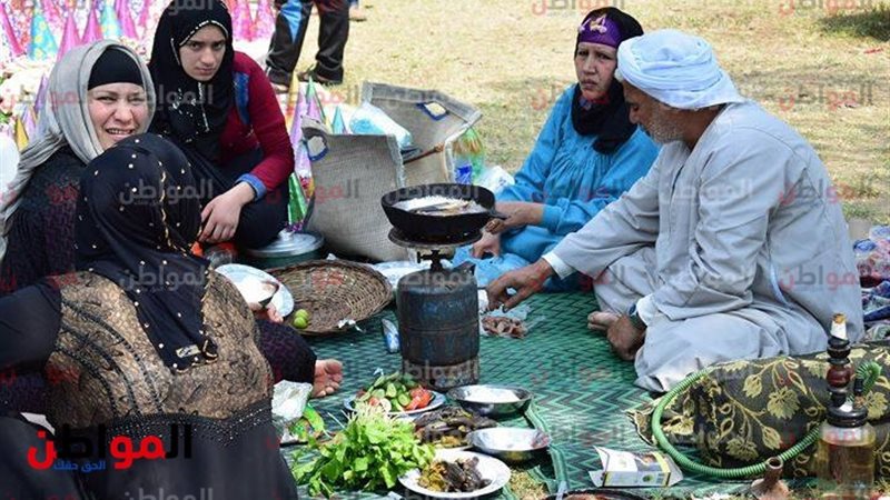 المواطن