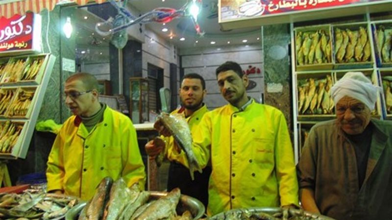 الفسيخ والرنجة 