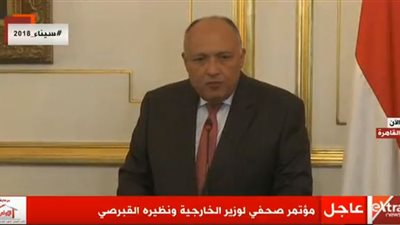 عاجل| شكري: نؤكد حرص مصر علي استمرار التفاعل الايجابي مع قبرص و الدول الأوربية