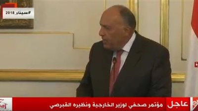 فيديو| كلمة سامح شكري و نظيره القبرصي في المؤتمر الصحفي المشترك بين البلدين 