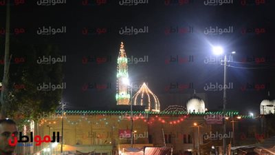 صور| آلاف المريدين يحتفلون بالليلة الختامية لمولد السيدة زينب 