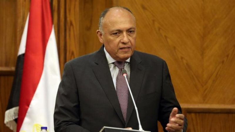 سامح شكري وزير الخارجية