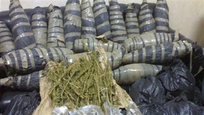 ضبط  تشكيلاً عصابيًا للاتجار في المخدرات بالبحيرة