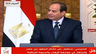 السيسي: أشيد بالجهود والتطور الملموس في العلاقات بين البلدين