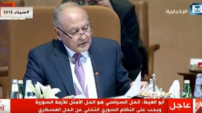 أحمد أبو الغيط: القضية الفلسطينية ظلت أهم أولويات الجامعة العربية 