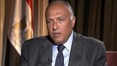 فيديو| وزير الخارجية يبحث مع 