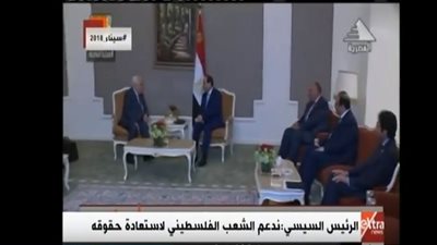 فيديو| السيسي: مصر مستمرة في بذل جهودها من أجل استعادة فلسطين لحقوقها المشروعة