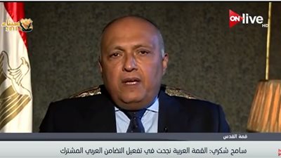 فيديو| سامح شكري: القمة العربية نجحت في تفعيل التضامن العربي المشترك