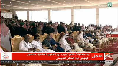 عاجل| السيسي يشيد بالكفاءة القتالية العالية بالتدريب الختامي لـ