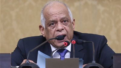 فيديو| مجلس النواب يقر بقانون التحفظ على أموال الجماعة الإرهابية