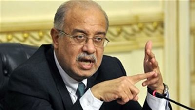 عاجل| رئيس الوزراء يؤكد اهتمام الدولة بمشروع استصلاح وزراعة 1.5 مليون فدان