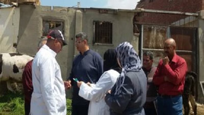 تطعيم الماشية وتحصينها