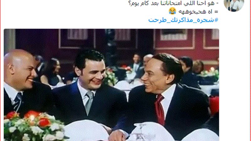 شجرة مذاكرتك طرحت