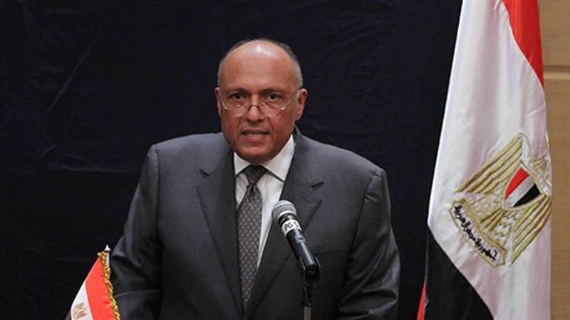 سامح شكري وزير الخارجية