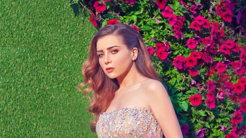 مي عز الدين