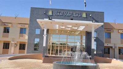 4,8 مليون جنيه للتعاقد مع أطباء مستشفيات الوادي الجديد