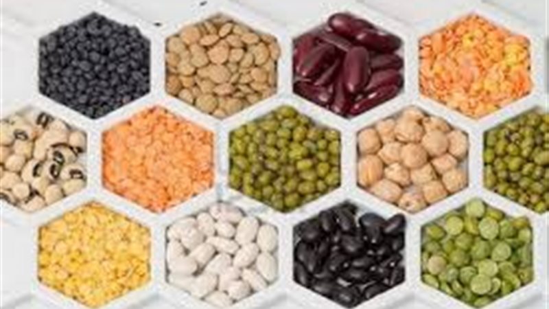 أسعار البقوليات