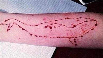 النائب العام يصدر قرارًا بحجب 