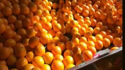فيديو| عمرو أديب: 