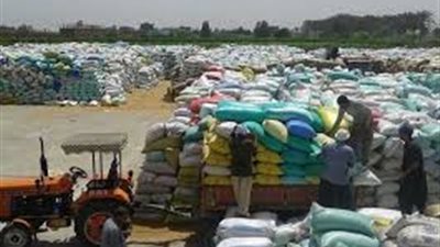 توريد 20 ألف و433 طن لمحصول القمح بشون وصوامع الغربية
