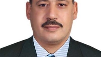منسق تمرد النواب: تقليص زراعة الأرز كارثة لدمار منتج استراتيجي